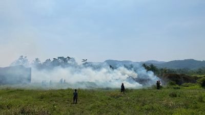 Lahan Gambut di Leuwisadeng Terbakar, 2 Unit Damkar Dikerahkan