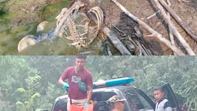 Heboh! Warga Desa Curug Jasinga Temukan Kerangka Manusia
