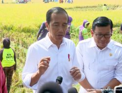Jokowi Angkat Bicara Soal Penangkapan Eks Mentan Syahrul Yasin Limpo, Ini Katanya