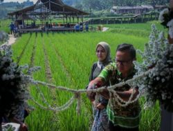 Bima Arya bersama Pejuang Musala Resmikan Musala di AEWO Mulyaharja