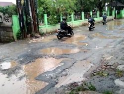 Jalan Raya Cikeas-Bojong Nangka Dibiarkan Rusak, Warga Minta Pemkab Bogor Segera Diperbaiki
