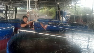 Kereeen, Desa Cimandala Miliki 10 Kolam Bioflok untuk Program Ketahanan Pangan