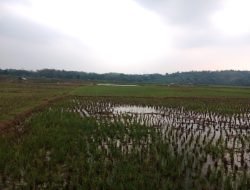 Kades Uteng: Masyarakat Cikutamekar Menjerit Jika Bendungan Cibeet Terus Dilanjutkan