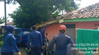 Kelaparan, Monyet Liar Masuk Permukiman Warga di Semplak Barat