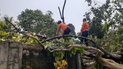 Kerugian Akibat Terjangan Angin Puting Beliung di Desa Pabuaran Kemang Capai Ratusan Juta, Kades Berharap Ada Bantuan