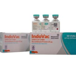 Vaksin COVID-19 IndoVac Resmi Dapat Izin Edar BPOM