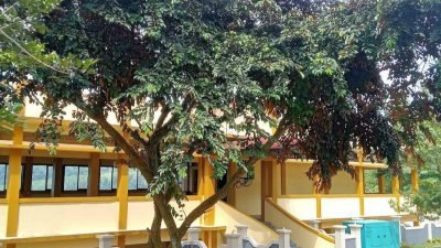 Kades Sebut Hotel dan Villa Cemara di Sukadamai Sukamakmur Belum Berizin