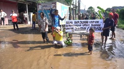 Protes! Warga Cikeas Udik Gunung Putri Tanam Pohon Pisang di Tengah Jalan Rusak