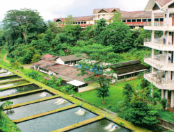 Mau Kuliah Gak Jenuh dan Bisa Sambil Healing? Prodi TMPB IPB University Tempatnya