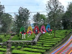 Ada Tempat Healing Baru Nih di Gunung Mas Puncak Bogor, Namanya Keranjang Mas, Bisa Nikmati Pemandangan Indah dengan Jarak 250 Meter
