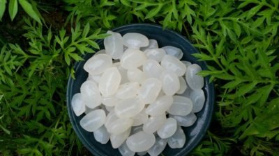 Ini Dia 5 Manfaat Kolang Kaling Bagi Kesehatan