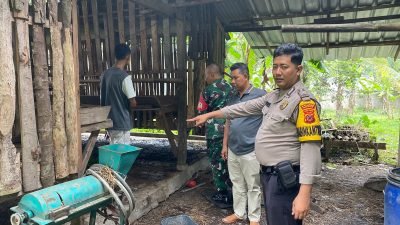 11 Kambing Milik Warga Ciomas Raib Digondol Maling, Polisi Buru Pelaku