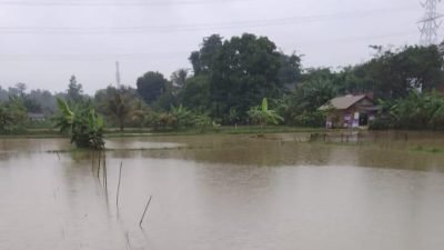 Hujan Deras Sebabkan Kali Cibeuteung Babakan Meluap, Puluhan Tambak Ikan Warga Terendam Banjir