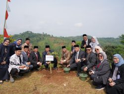 Asmawa Tosepu Ajak ASN Lakukan Penanaman Pohon
