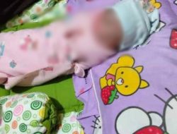 Geger!! Bayi Masih Terikat Ari-ari Ditemukan Warga Cigudeg Bogor