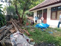 Ingetin Warga Jaga Kebersihan, Tapi di Lingkungan Kantor Kecamatan Citeureup malah Banyak Sampah dan Kayu