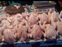 H-1 Jelang Hari Raya Idul Adha 2024 Harga Ayam Potong di Parung Naik, Tembus Rp 40 Ribu Perkilo