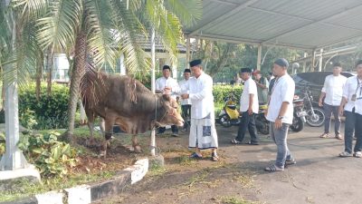 Idul Adha 1445 H, Pemkab Bogor Salurkan 95 Ekor Sapi dan Domba