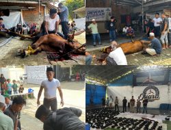 Berbagi Hewan Kurban, Partai Demokrat Kabupaten Bogor Sembelih 3 Ekor Sapi dan 5 Kambing