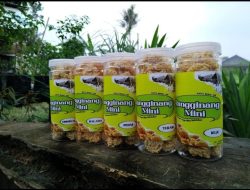 Miliki Ukuran Mini, Rangginang Produksi Anak Majelis Ar-Ridwan Semplak Barat Kemang Bisa Dijadikan Cemilan Saat Beraktivitas