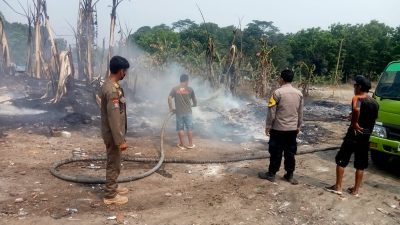 Gegara Puntung Roko, Tempat Limbah Busa di Rumpin Ludes Dilalap Api