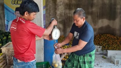 Kisah Inspiratif Mantan Kades Mekarsari Rancabungur jadi Bos Buah, Pelanggannya Se-Bogor Raya