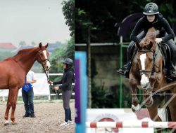 Bibit Optimis Jovanka Nadya Sabet Emas Equestrian PON 2024