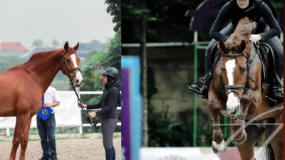 Bibit Optimis Jovanka Nadya Sabet Emas Equestrian PON 2024