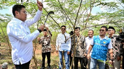 Kembangkan Bahan ‘Co-Firing’ Biomassa, PLN Bersama Kementan Luncurkan Model Pertanian Terpadu