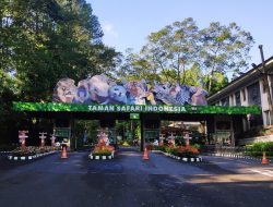 Liburan Bersama Keluarga, Taman Safari Bogor Tempat Wisata Yang Nyaman