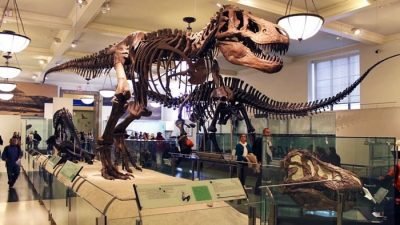 Lagi Cari Wisata Edukatif, ke Museum Zoologi Bogor Aja, Dapat Menambah Wawasan Loh