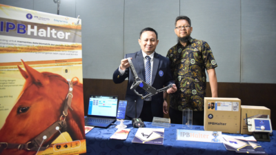 IPB University Luncurkan IPBHalter, Alat Canggih Pantau Kesehatan Kuda Berbasis AI dan IoT
