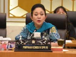 Tanggapi Rencana Pemerintah Impor Beras 1 Juta Ton dari India, Titiek Soeharto: Tidak Masalah Selama Terukur dan Tidak Saat Panen