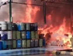 Si Jago Merah Lalap Pabrik Pengelolaan Limbah di Jonggol, Sejumlah Karyawan Alami Luka Bakar