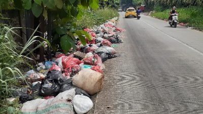 Libur Pilkada Sampah Menumpuk di Jalan Raya Mad Noer, Warga: Tadi Ada Mobil Lewat Tapi Tidak Diangku