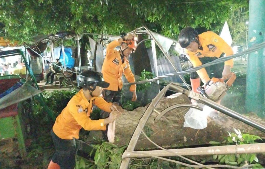 2 Pohon Tumbang Timpa 3 Kendaraan, Rumah dan Lapak PKL di Jonggol