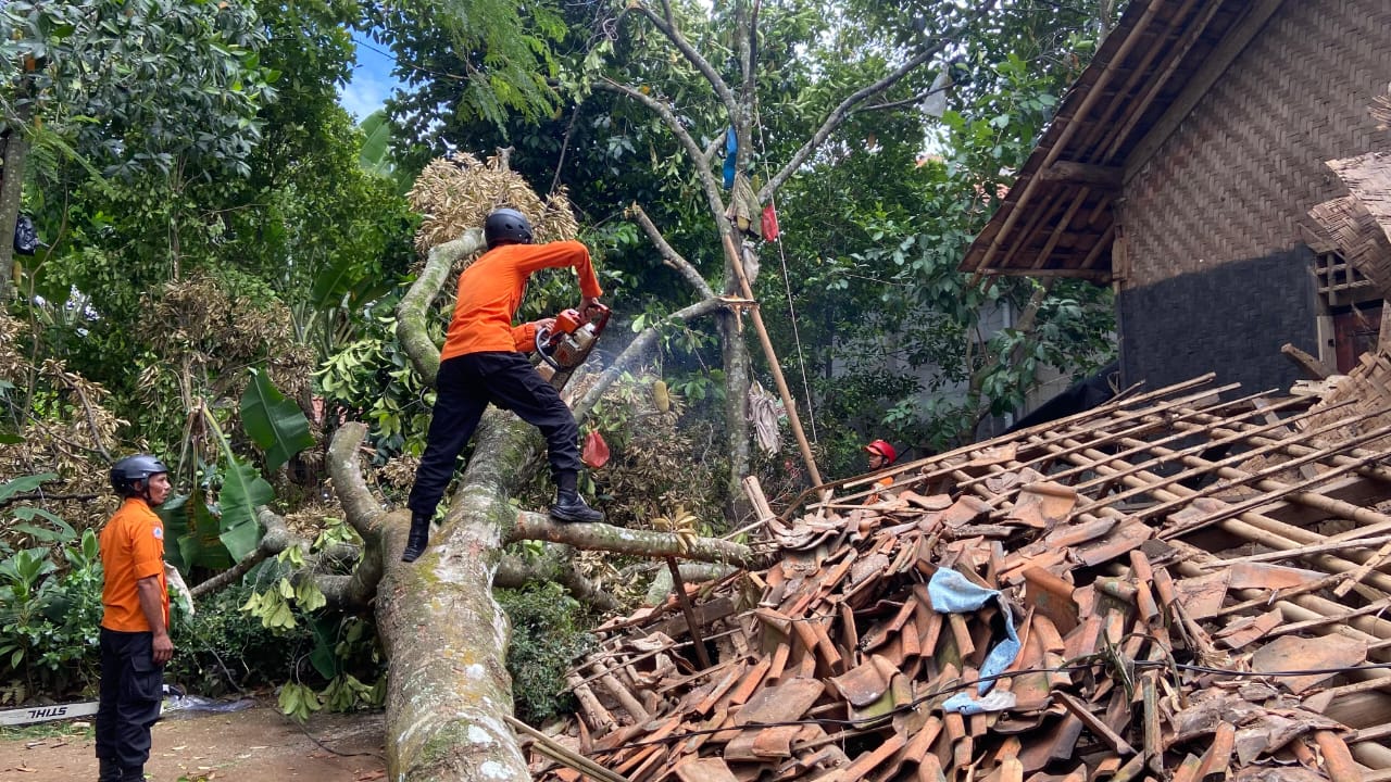 Diterjang Angin Kencang, 1 Rumah Ambruk di Jonggol Tertimpa Pohon