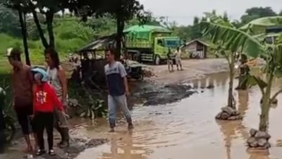 Kesal Karena Rusak Parah dan Berkubang, Warga Tanam Pohon Pisang di Jalan Raya Asmawi Gunungsindur