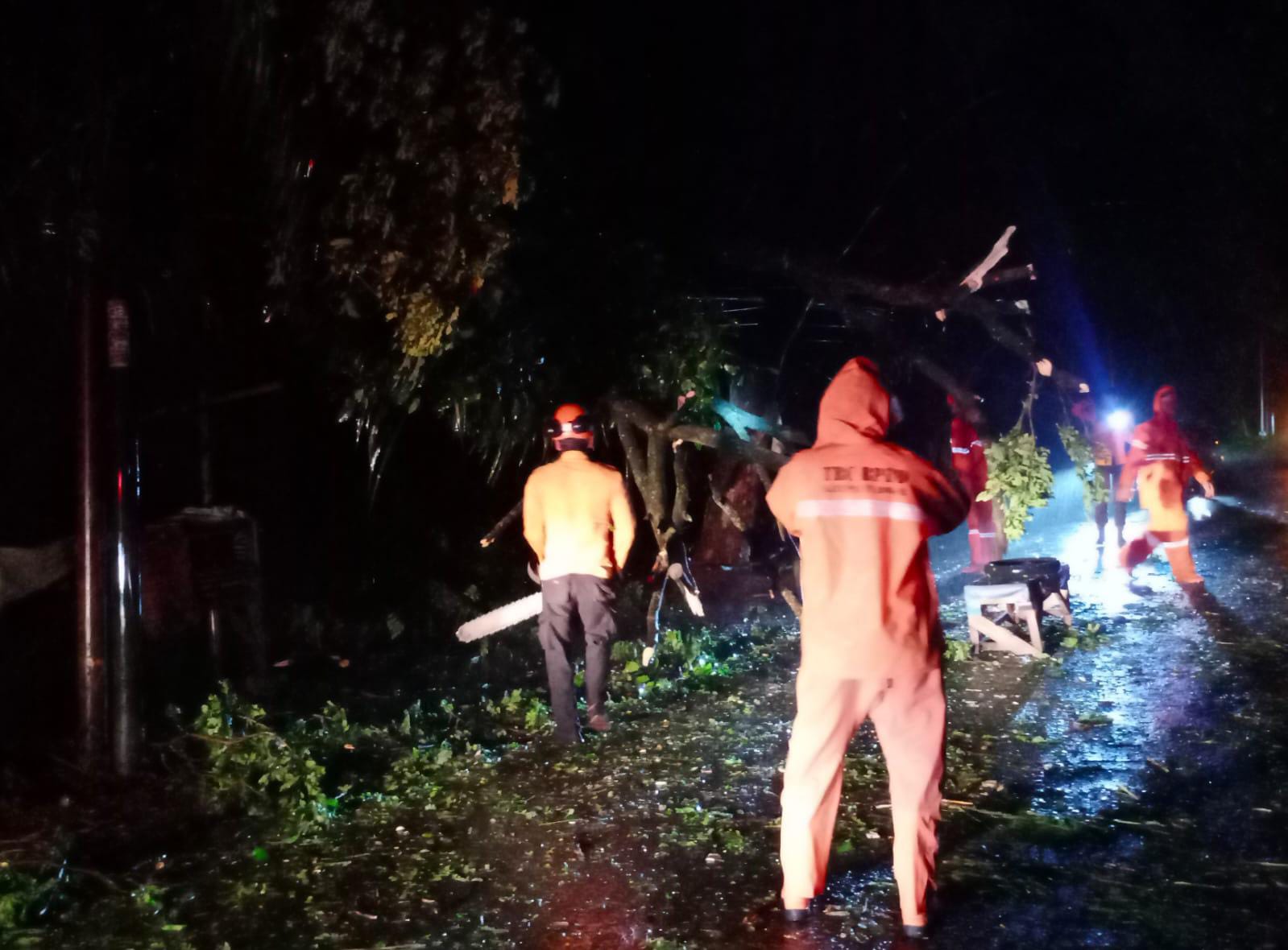 Imbas Angin Kencang, Pohon Tumbang Tutupi Jalan di Cileungsi