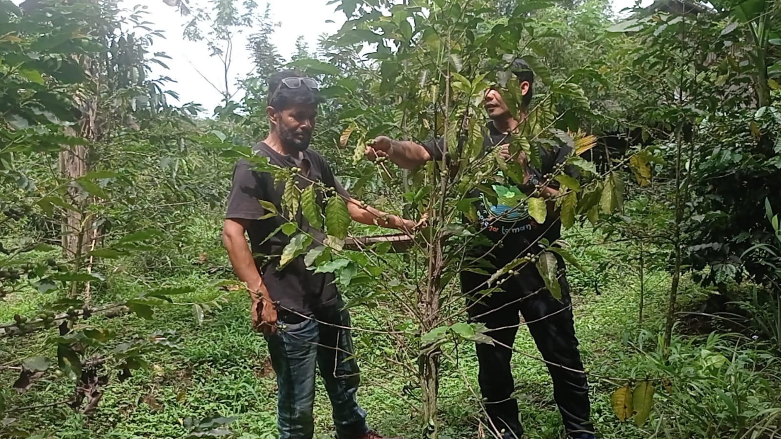 Pencinta Kopi Wajib Coba ‘Branding Kopi Adoh’ di Tamansari, Ini Kelebihannya