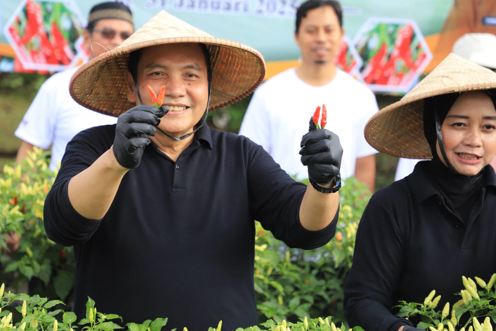 Upaya Kendalikan Harga Kebutuhan Pokok, Pemkab Bogor Panen Cabai