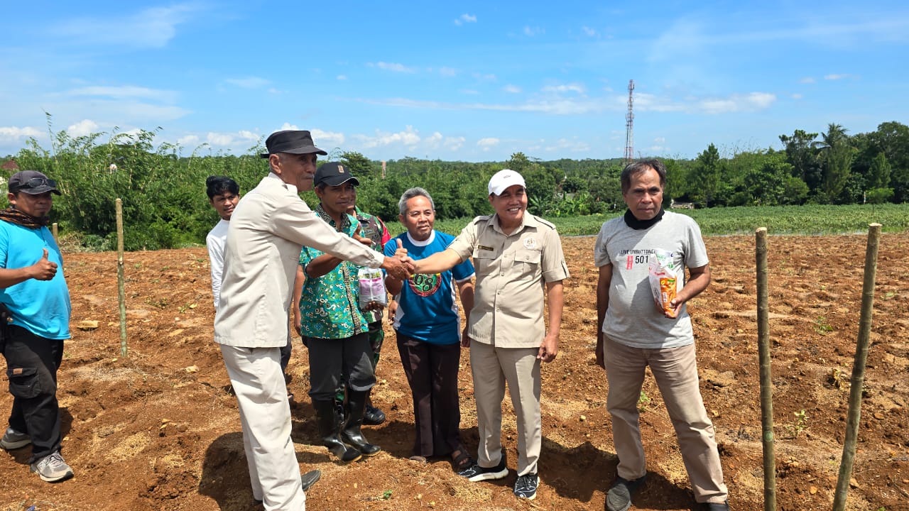Manfaatkan Lahan Tidur, HKTI PAC Jasinga Tanam Jagung Hybrida Dukung Ketahanan Pangan