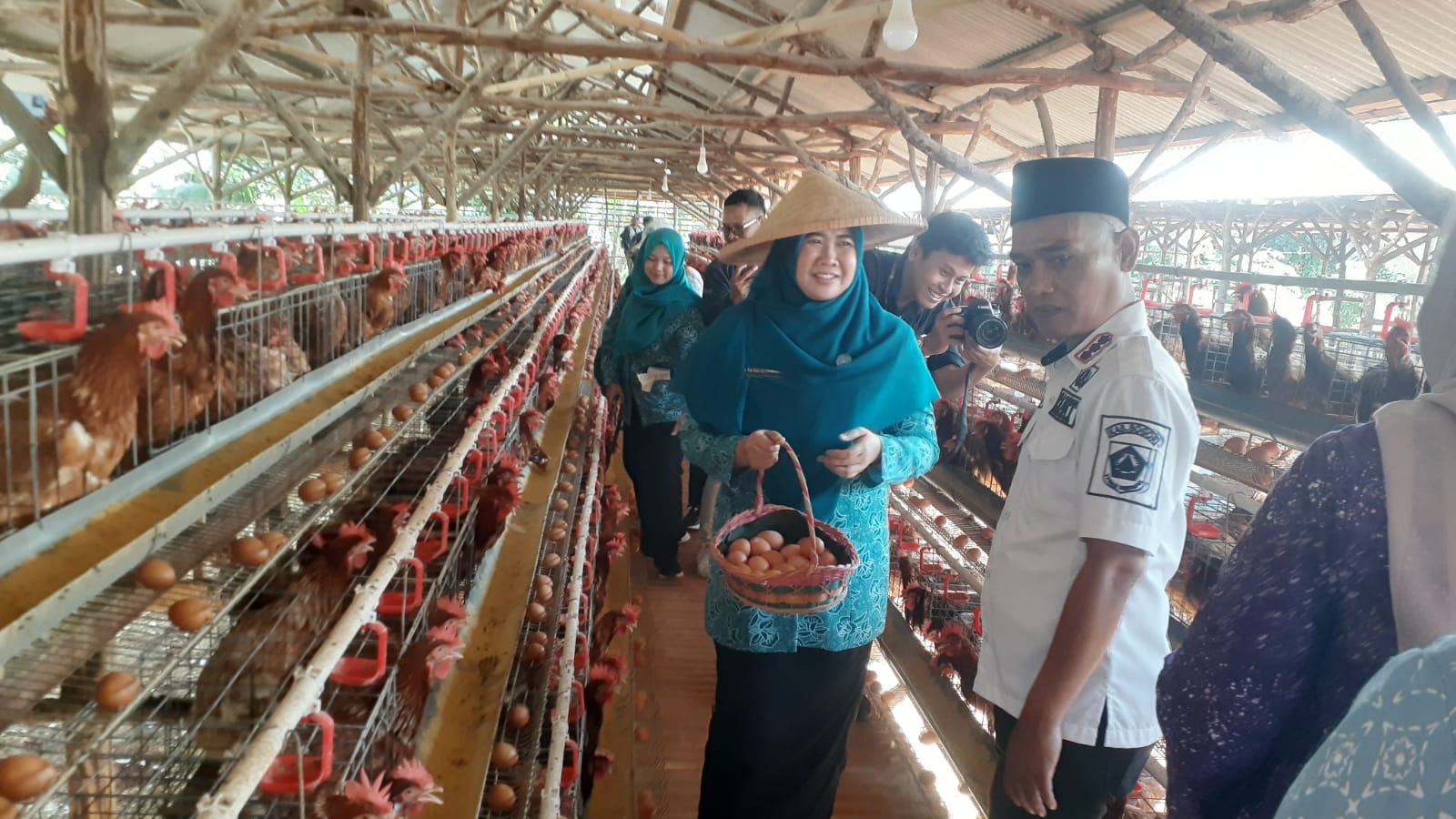 Kunker ke Tajurhalang, Ketua TP PKK Kabupaten Bogor Ikut Panen Sayur dan Telur Ayam
