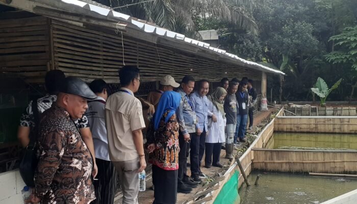Ketapang Desa Kemang Bogor Diserbu Kades dari Kabupaten di Sumatera Utara