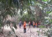 Monyet Ekor Panjang Resahkan Warga Desa Tegal Kemang, BPBD dan Damkar Turun Tangan