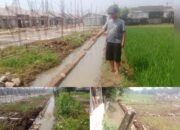 Pantesan Sering Banjir! Bukannya Dilebarkan, Perumahan Pesona Kahuripan 10 Cileungsi Malah Persempit Irigasi