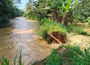Tanggul Sungai Cibeuteung Jebol, Ratusan Tambak Ikan di Ciseeng Terendam Banjir