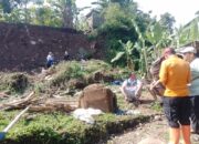 1 Unit Motor dan Kandang Domba Berisi 20 Ekor Tertimpa Turap Villa di Tamansari