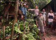 2 Pelajar yang Sedang Meneduh di Saung Rumpin Tersambar Petir, 1 Tewas dan 1 Kritis