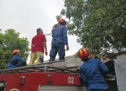 Meski Sudah Panggil Damkar, Kera yang Resahkan Warga Desa Bantarjati Belum Berhasil Dievakuasi